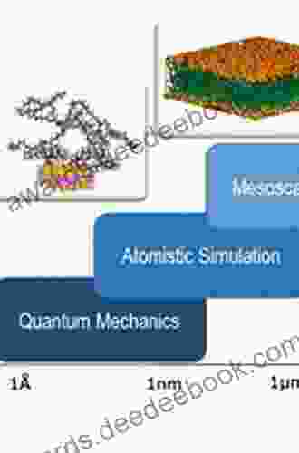 3D Surface Reconstruction: Multi Scale Hierarchical Approaches