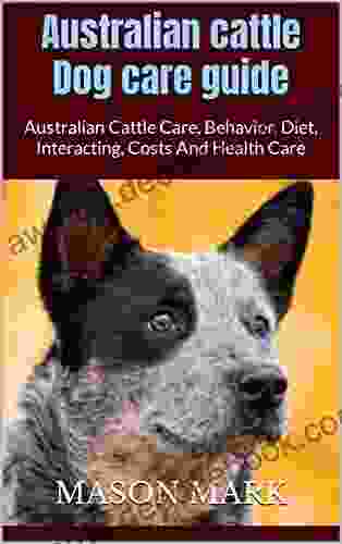 Australian cattle Dog care guide : Australian Cattle Care Behavior Diet Interacting Costs And Health Care