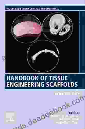 Biomedical Textiles For Orthopaedic And Surgical Applications: Fundamentals Applications And Tissue Engineering (Woodhead Publishing In Biomaterials 93)