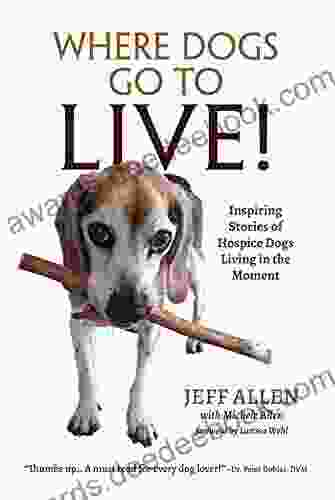 Where Dogs Go To LIVE : Inspiring Stories Of Hospice Dogs Living In The Moment