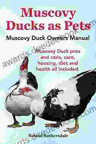 Muscovy Ducks As Pets Muscovy Duck Owners Manual Muscovy Duck Pros And Cons Care Housing Diet And Health All Included