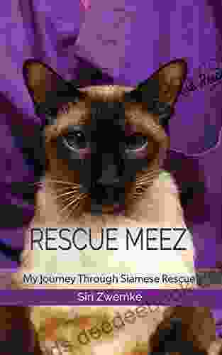 Rescue Meez: My Journey Through Siamese Rescue